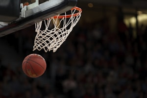 NBA篮球赛果 凯尔特人雄鹿